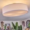 Foggia ceiling light matt nickel, 3-light sources