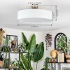 Foggia ceiling light matt nickel, 3-light sources