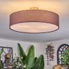 Foggia ceiling light matt nickel, 3-light sources
