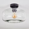 Boza ceiling light clear, 1-light source