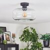Boza ceiling light clear, 1-light source
