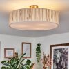 Foggia ceiling light matt nickel, 3-light sources