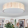 Foggia ceiling light matt nickel, 3-light sources