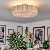 Foggia ceiling light matt nickel, 3-light sources
