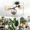 Chehalis ceiling light, globe light Amber, Smoke-coloured, 3-light sources