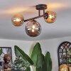 Chehalis ceiling light, globe light Amber, Smoke-coloured, 3-light sources