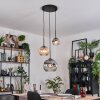 Ripoll hanging light, globe light, Cluster pendant lamp Amber, clear, Smoke-coloured, 3-light sources