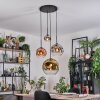 Ripoll hanging light, globe light, Cluster pendant lamp chrome, gold, clear, coppery, Smoke-coloured, 4-light sources