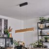 Fugelsta hanging light, pendant light LED black, 1-light source