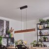 Fugelsta hanging light, pendant light LED black, 1-light source
