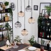 Koyoto hanging light, globe light, Cluster pendant lamp Amber, clear, Smoke-coloured, 5-light sources