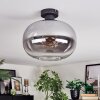 Apedo ceiling light, globe light clear, Smoke-coloured, 1-light source