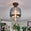Apedo ceiling light clear, Smoke-coloured, 1-light source