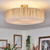 Foggia ceiling light matt nickel, 3-light sources
