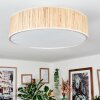 Foggia ceiling light matt nickel, 3-light sources