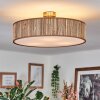 Foggia ceiling light matt nickel, 3-light sources