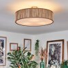Foggia ceiling light matt nickel, 3-light sources
