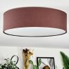 Antillo ceiling light brown, white, 3-light sources