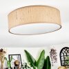 Antillo ceiling light brown, Ecru, white, 3-light sources