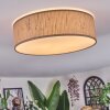 Antillo ceiling light brown, Ecru, white, 3-light sources
