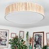 Foggia ceiling light matt nickel, 3-light sources