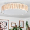 Foggia ceiling light matt nickel, 3-light sources