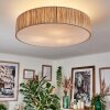 Foggia ceiling light matt nickel, 3-light sources