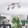 Edain ceiling light, ceiling spotlight LED chrome, matt nickel, 3-light sources
