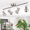 Edain ceiling light, ceiling spotlight LED chrome, matt nickel, 4-light sources