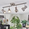 Edain ceiling light, ceiling spotlight LED chrome, matt nickel, 4-light sources