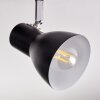 Farel ceiling light, ceiling spotlight chrome, black, 2-light sources
