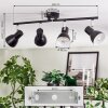Farel ceiling light, ceiling spotlight chrome, black, 4-light sources