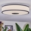 Elran ceiling light LED white, 1-light source
