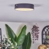 Elmar ceiling light LED black, 1-light source