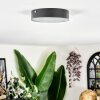 Elmar ceiling light LED black, 1-light source
