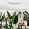 Elmar ceiling light LED silver, 1-light source