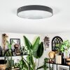 Elmar ceiling light LED black, 1-light source