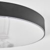 Elmar ceiling light LED black, 1-light source
