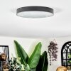 Elmar ceiling light LED black, 1-light source