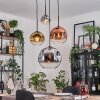 Ripoll hanging light, globe light, Cluster pendant lamp chrome, gold, clear, coppery, Smoke-coloured, 4-light sources
