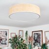 Foggia ceiling light matt nickel, 3-light sources