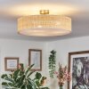 Foggia ceiling light matt nickel, 3-light sources