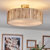 Foggia ceiling light matt nickel, 3-light sources