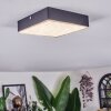 Esmar ceiling light LED black, 1-light source