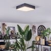 Esmar ceiling light LED black, 1-light source