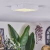 Esmar ceiling light LED white, 1-light source