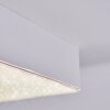 Esmar ceiling light LED white, 1-light source