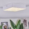 Esmar ceiling light LED white, 1-light source