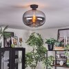 Apedo ceiling light Smoke-coloured, 1-light source