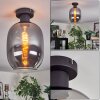 Apedo ceiling light Smoke-coloured, 1-light source